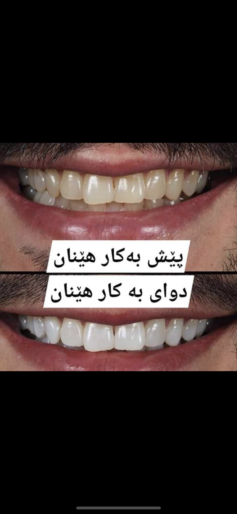 مەعجۆن جانۆزی